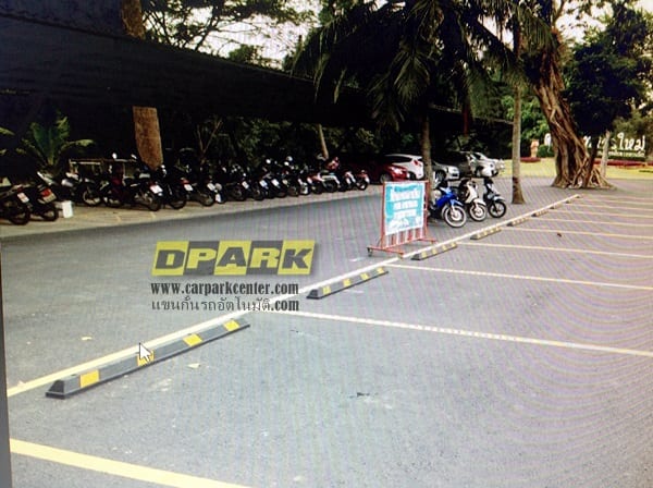 TE-DWQ-010:Rubber Wheel Stopper