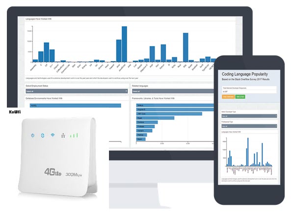 CCT-SW01:Online Software+4G Router สำหรับระบบนับรถ